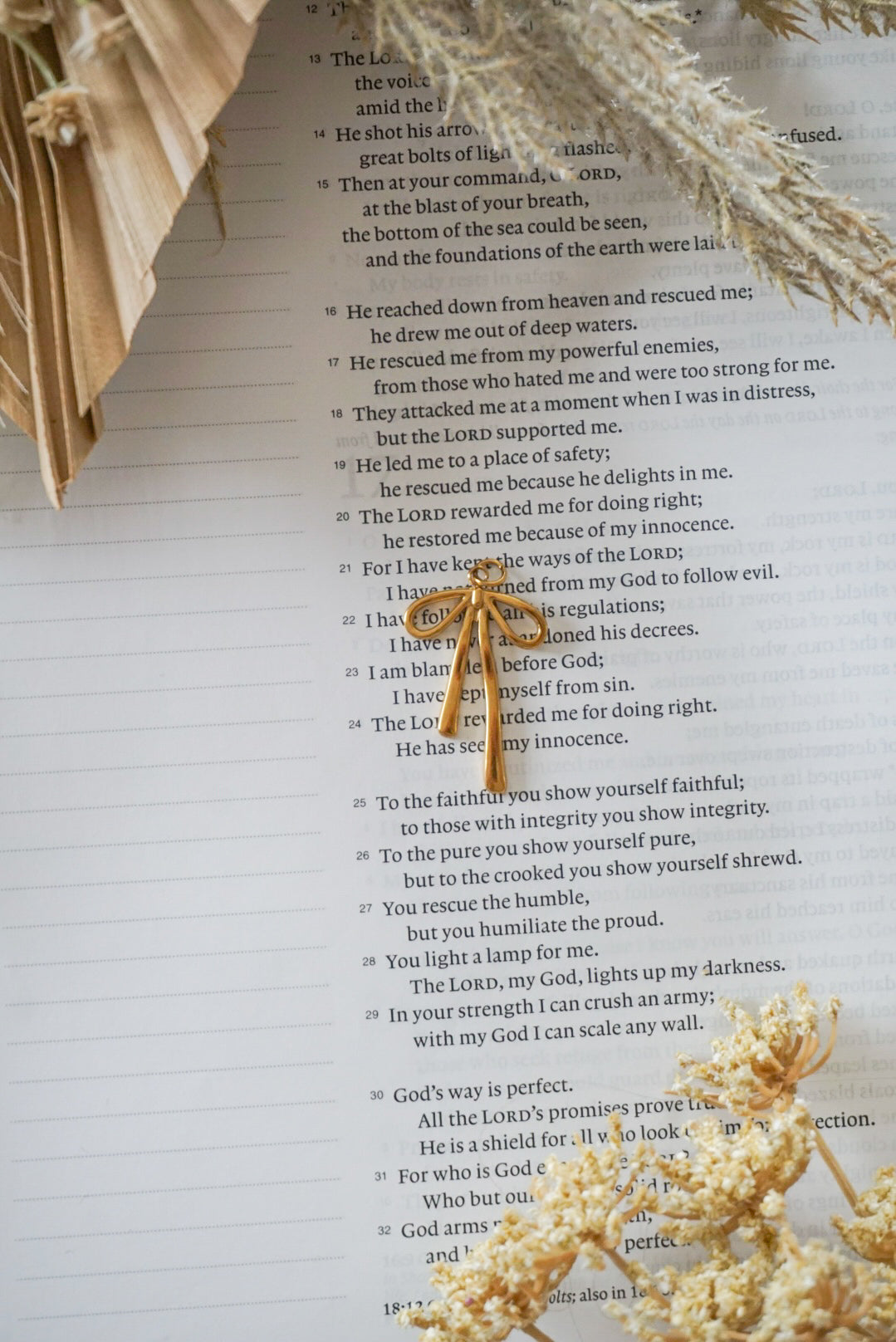 18k Gold Pvd Ribbon Charm