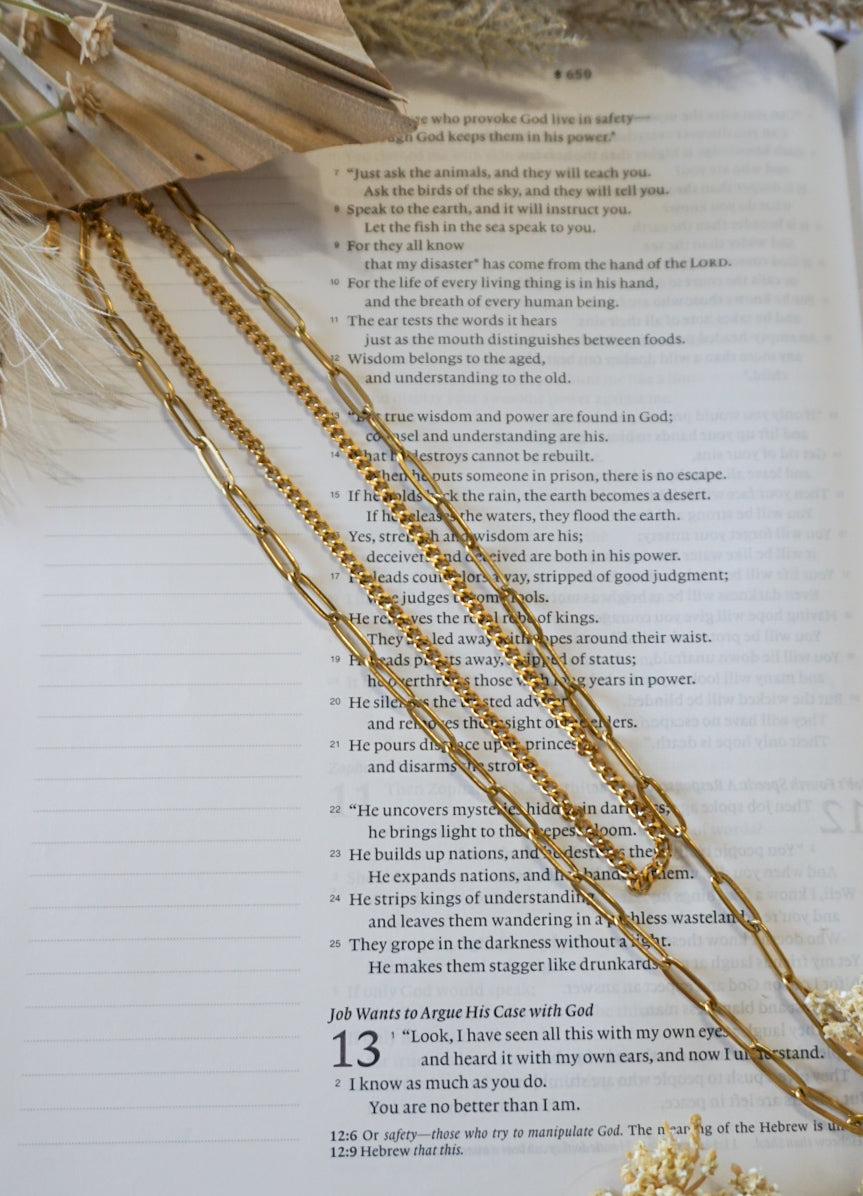 18k Gold Pvd Curb and Paperclip Layered Necklace