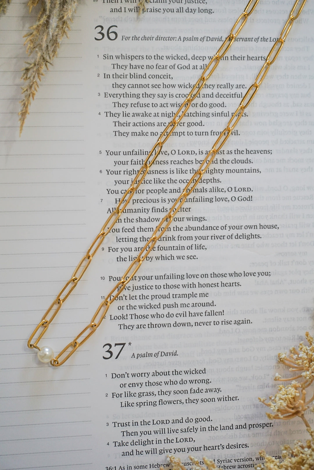 18k Gold Pvd Paperclip with Pearl Necklace