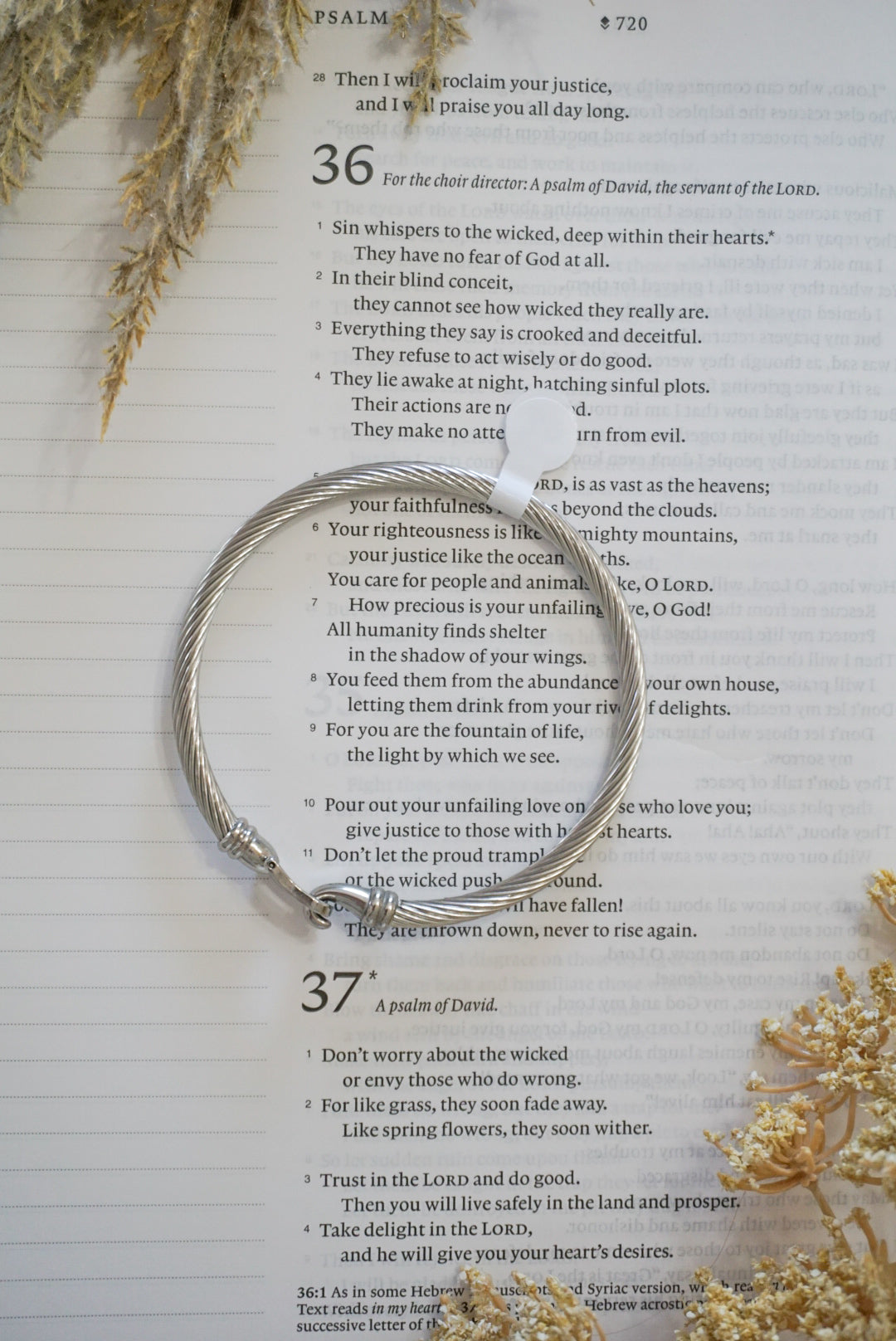316 Stainless Steel Buckle Clasp Bangle Bracelet
