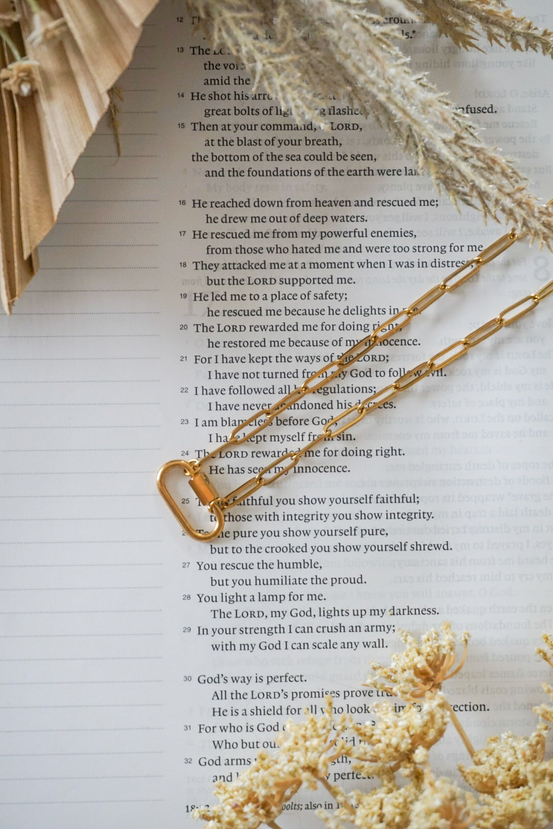 18k Gold Pvd Charm Carabiner Necklace