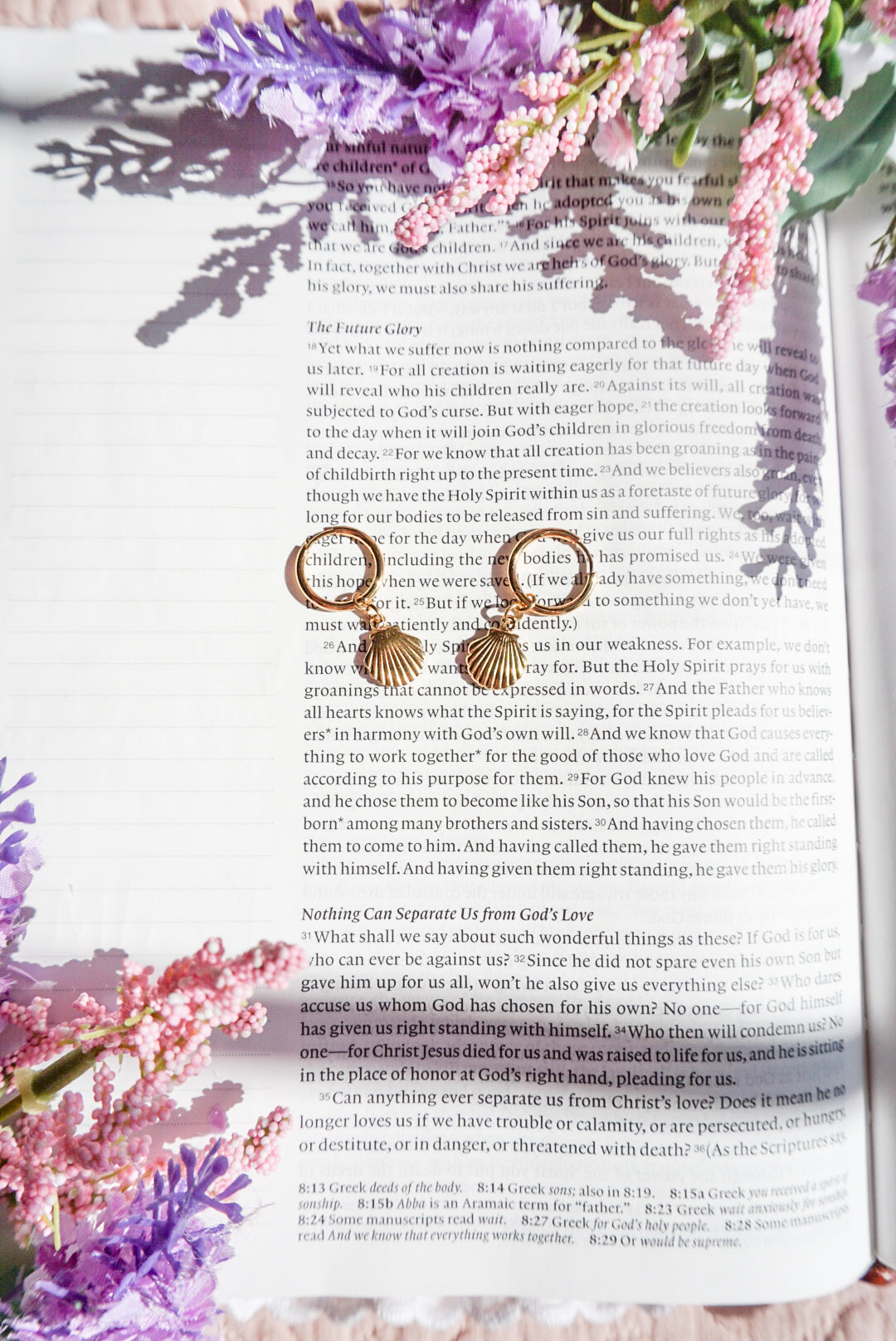 18k Gold Pvd Shell Earrings