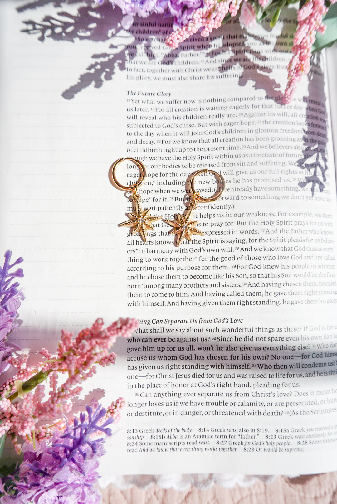 18k Gold Pvd North Star Earrings