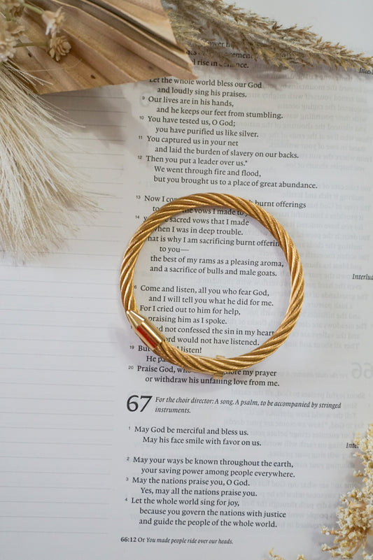 18k Gold Pvd Nail Bangle Bracelet