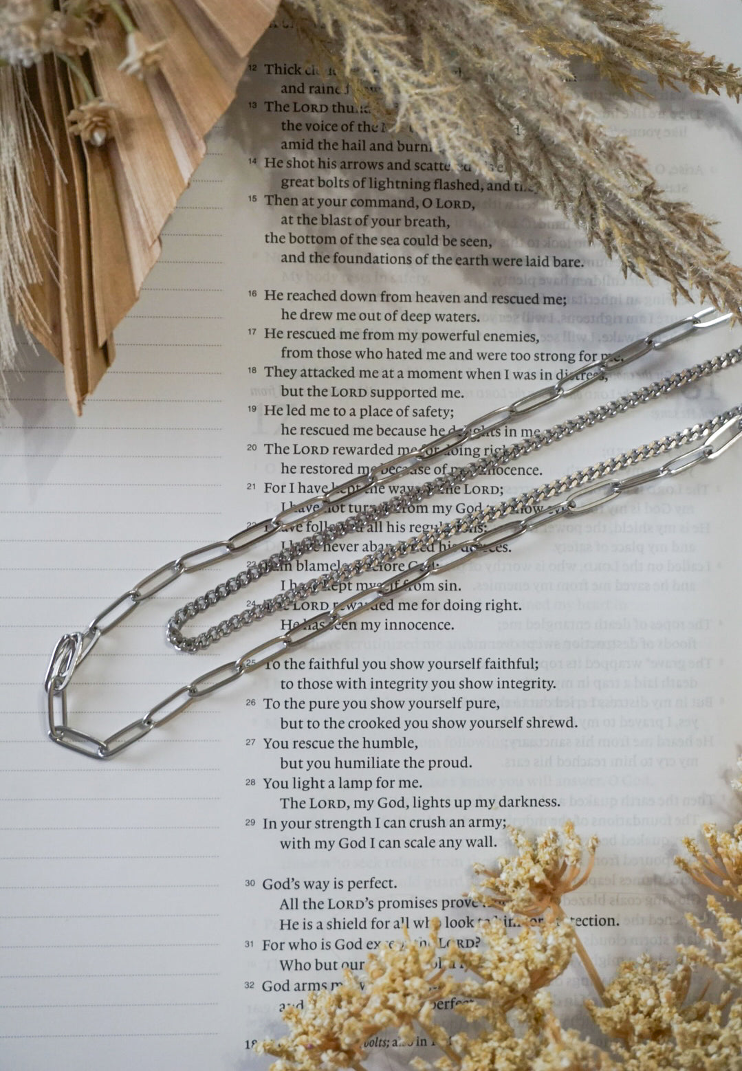 316 Stainless Steel Curb and Paperclip Layered Necklace