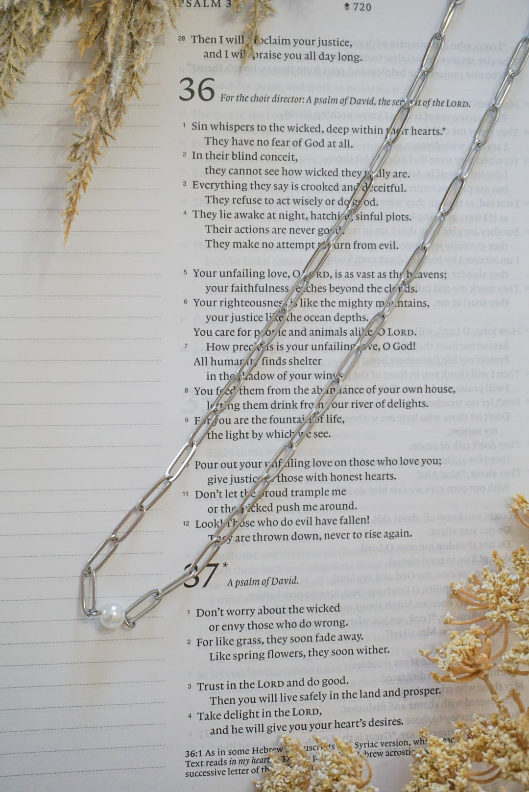 316 Stainless Steel Paperclip with Pearl Necklace
