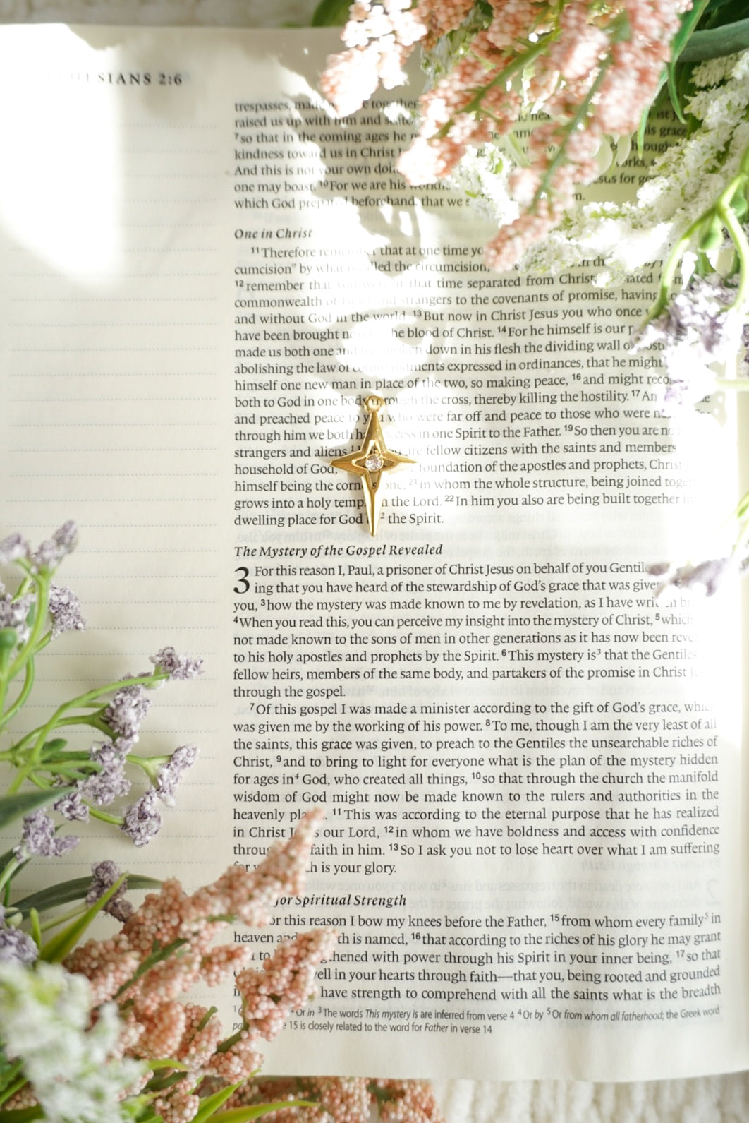 18k Gold Pvd Star Charm