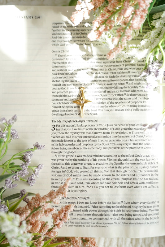 18k Gold Pvd Star Charm