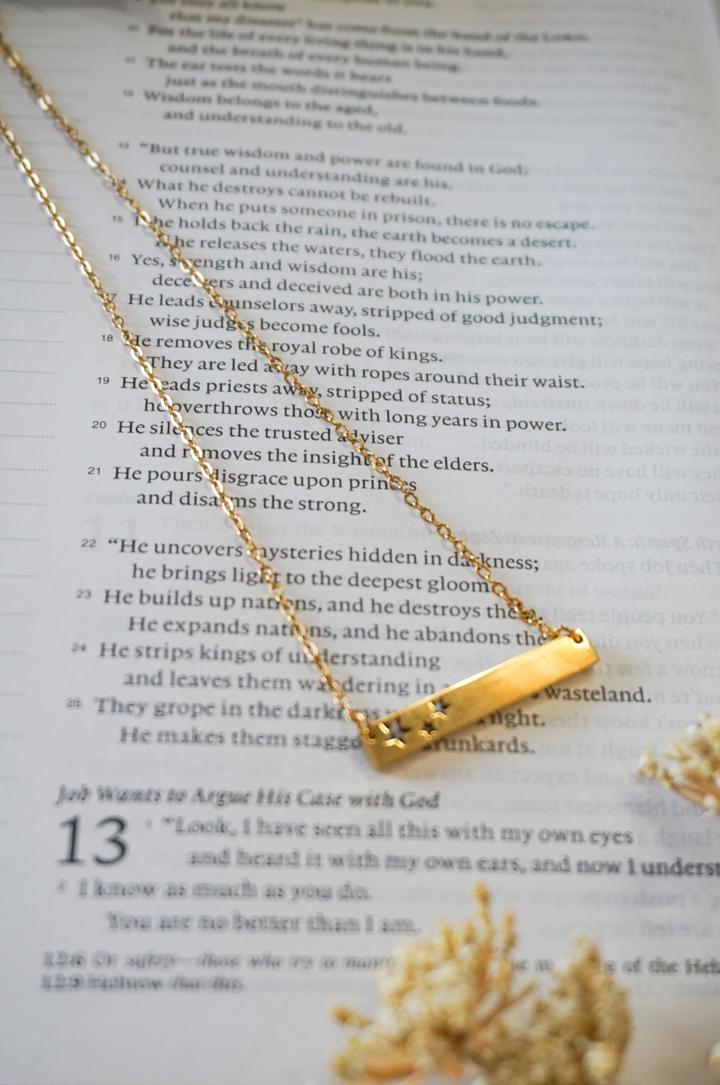 18k Gold Pvd Star Cutout Bar Necklace