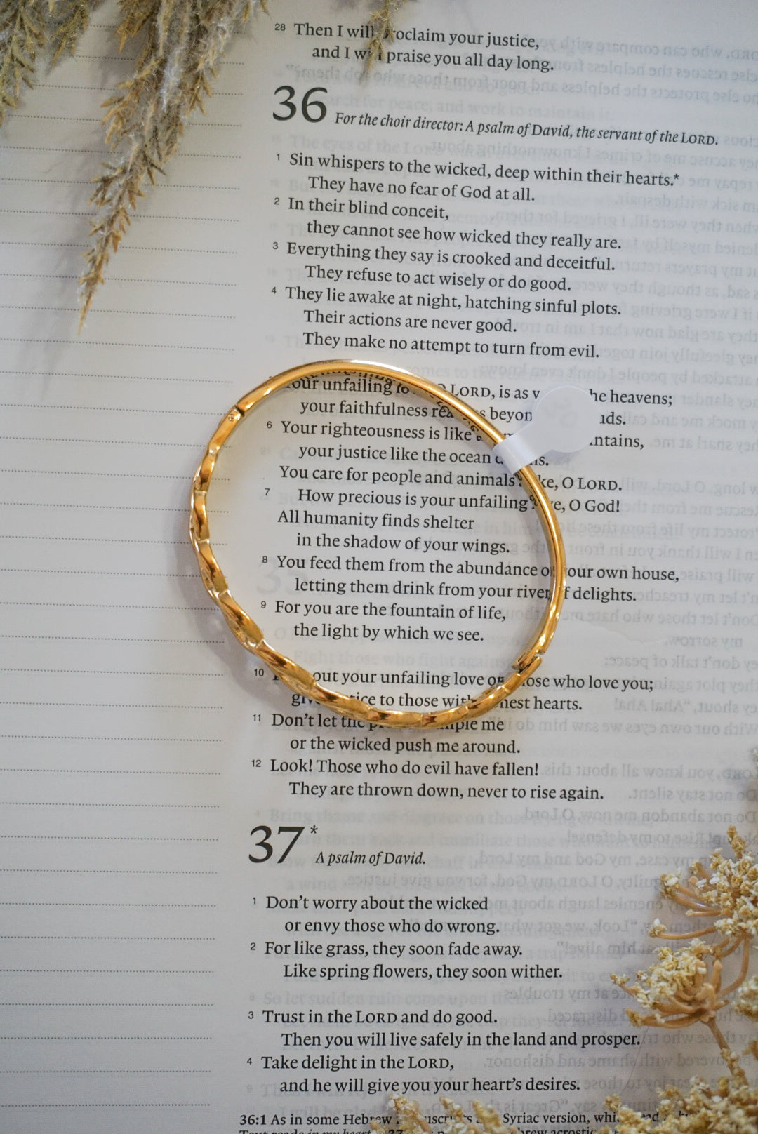18k Gold Pvd Oval Bangle Bracelet