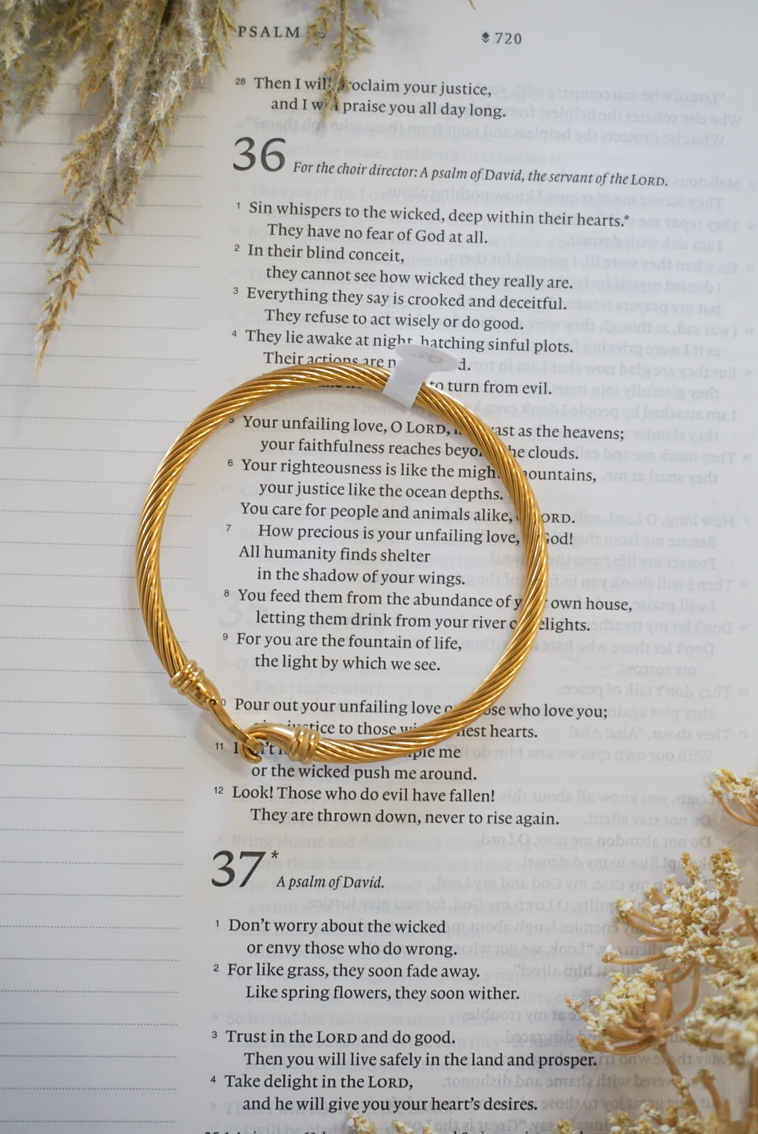 18k Gold Pvd Buckle Clasp Bangle Bracelet