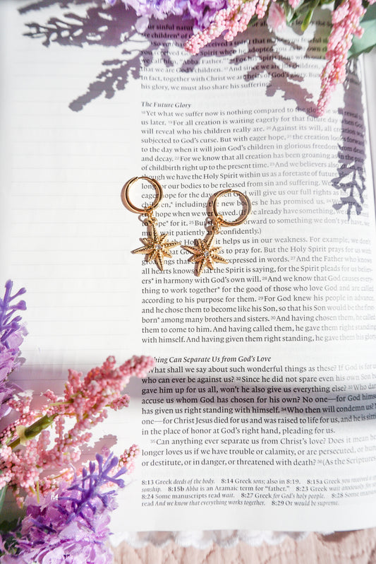 18k Gold Pvd North Star Earrings