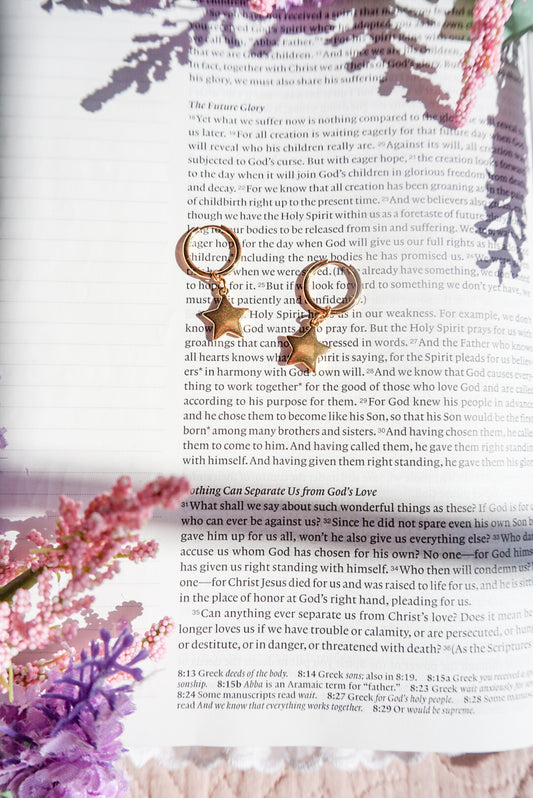 18k Gold Pvd Star Earrings