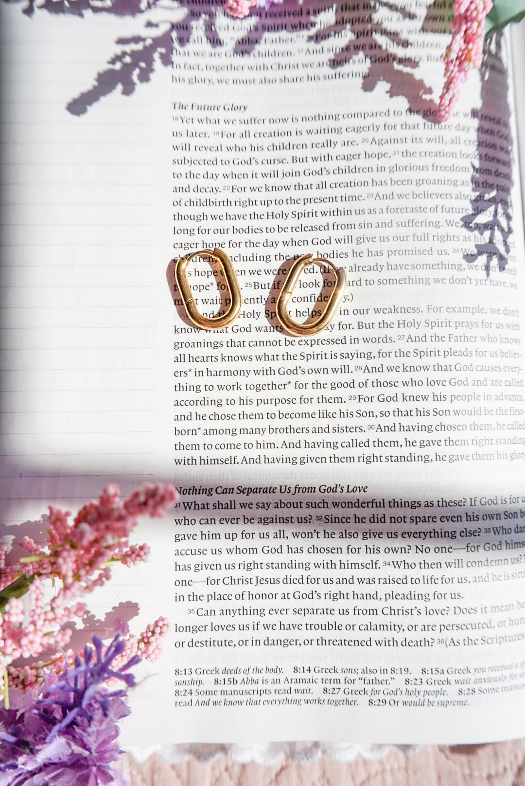 18k Gold Pvd Oval Hoop Earrings