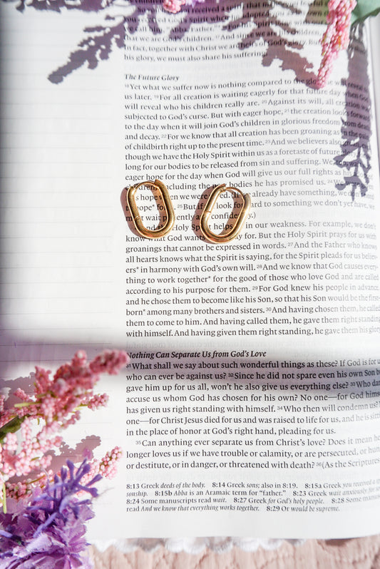18k Gold Pvd Oval Hoop Earrings